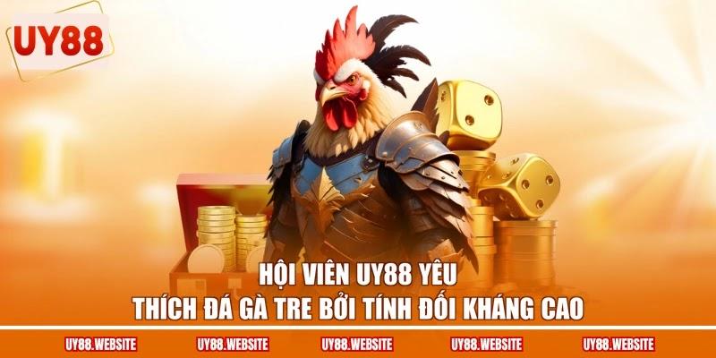 Hội viên UY88 yêu thích đá gà tre bởi tính đối kháng cao