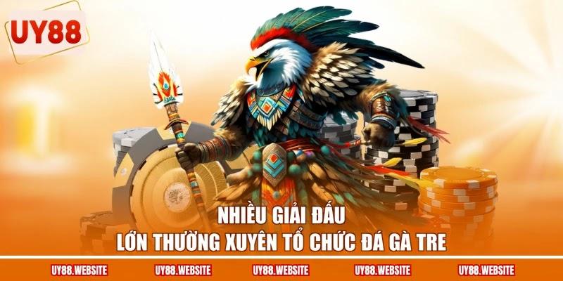 Nhiều giải đấu lớn thường xuyên tổ chức đá gà tre